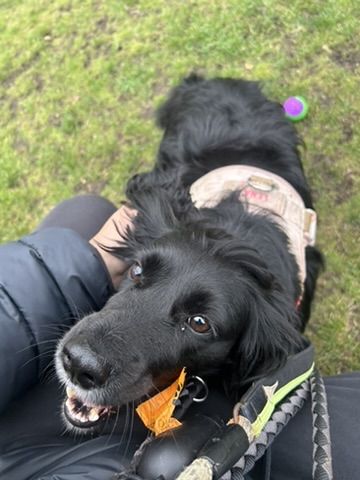 Lena looking up on a walk