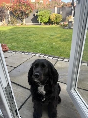 Lena at the back door